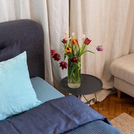טימישוארה No.8: Lovely & Cosy 3-Room Heart Of The City מראה חיצוני תמונה