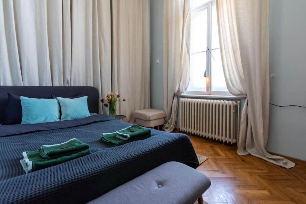 טימישוארה No.8: Lovely & Cosy 3-Room Heart Of The City מראה חיצוני תמונה