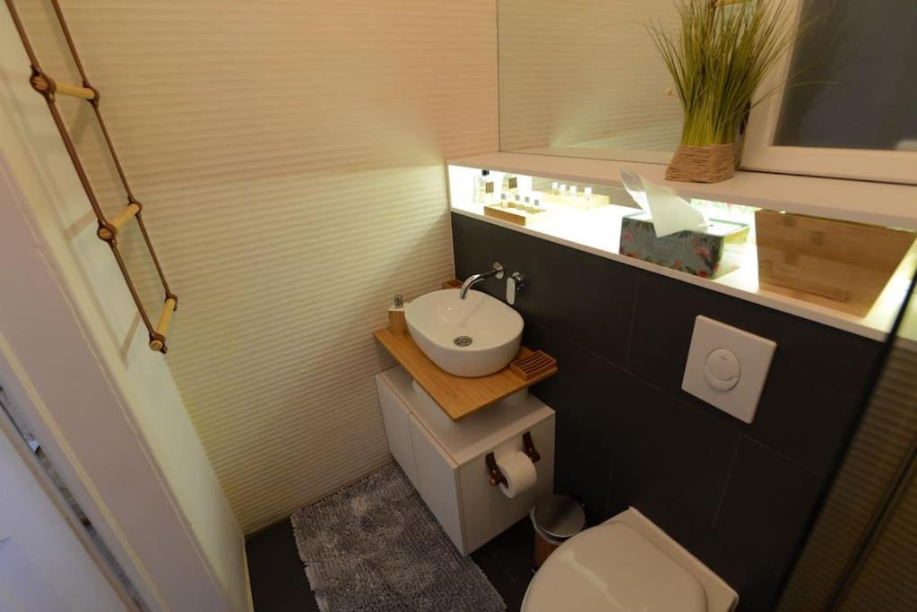 טימישוארה No.8: Lovely & Cosy 3-Room Heart Of The City מראה חיצוני תמונה