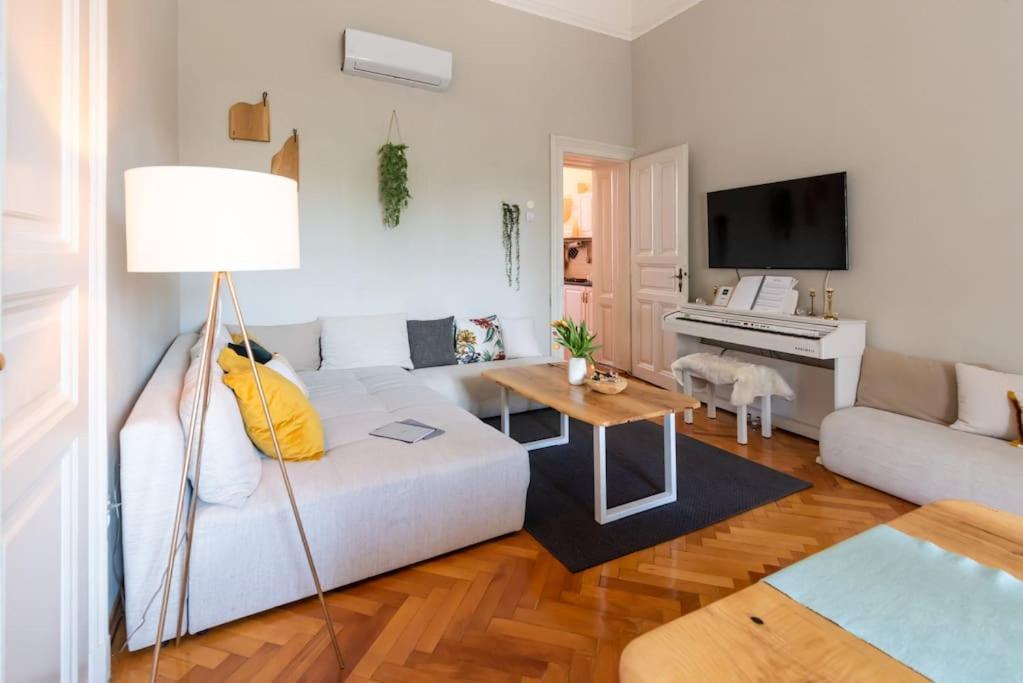 טימישוארה No.8: Lovely & Cosy 3-Room Heart Of The City מראה חיצוני תמונה