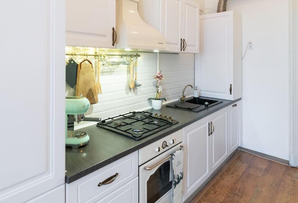 טימישוארה No.8: Lovely & Cosy 3-Room Heart Of The City מראה חיצוני תמונה