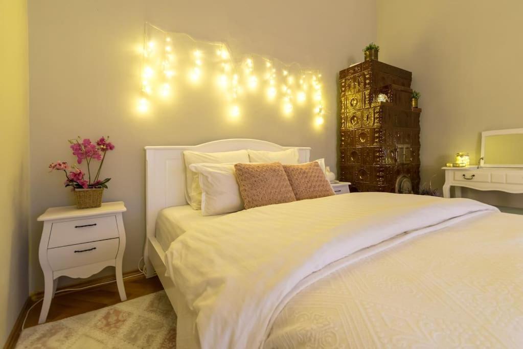 טימישוארה No.8: Lovely & Cosy 3-Room Heart Of The City מראה חיצוני תמונה
