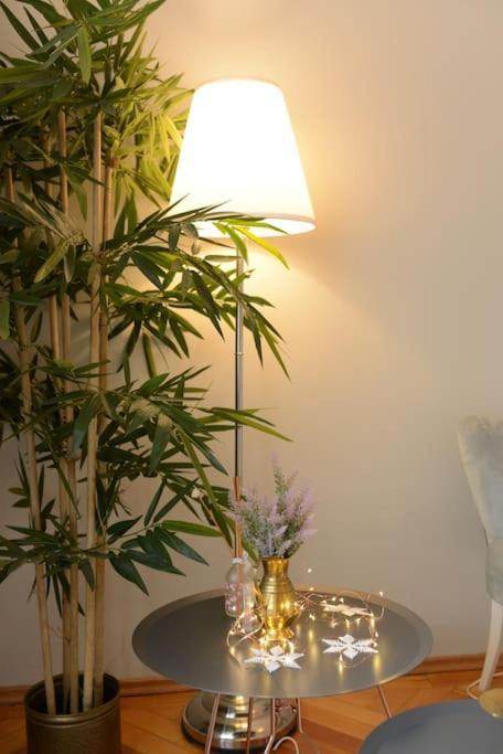 טימישוארה No.8: Lovely & Cosy 3-Room Heart Of The City מראה חיצוני תמונה