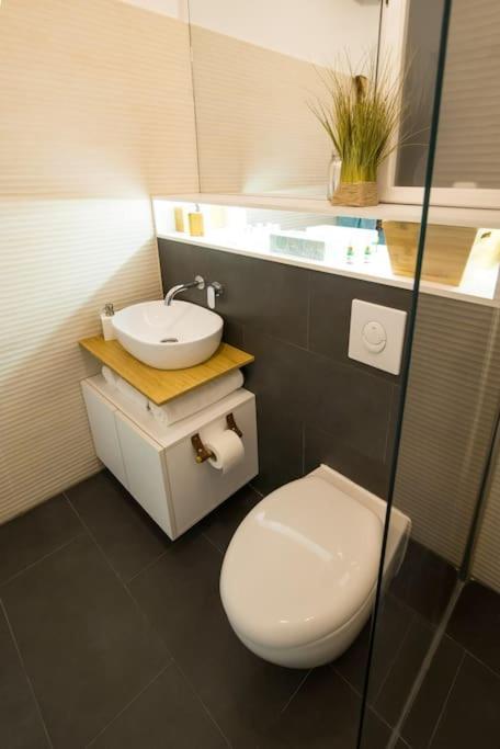 טימישוארה No.8: Lovely & Cosy 3-Room Heart Of The City מראה חיצוני תמונה
